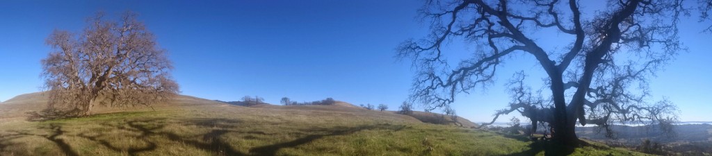 Mount Hamilton hiking